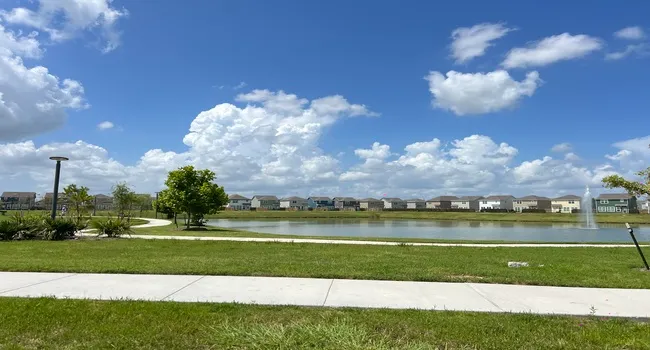 Houston 5